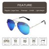 Silver Frame/Mirror Blue Lens