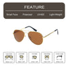 Gold Frame/Brown Lens